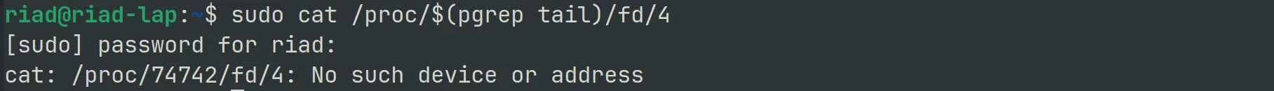 cat returning a No such device or address error
